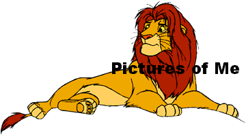  Pictures of Me 